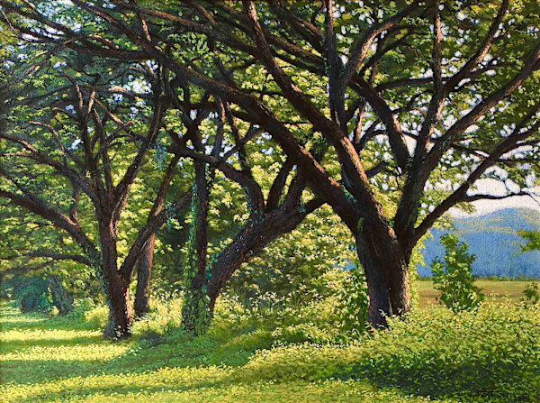 Under the sun's embrace by Shan Nyi