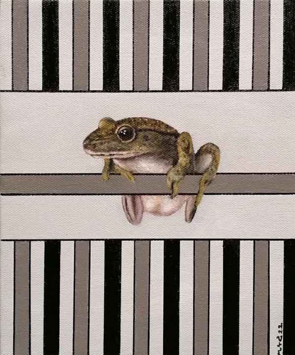 Mr.Frog by Min Thar Gyi