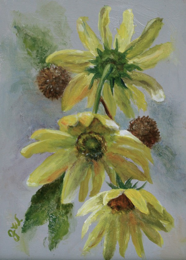 Three Sunflowers with Seedheads by Julia Watson