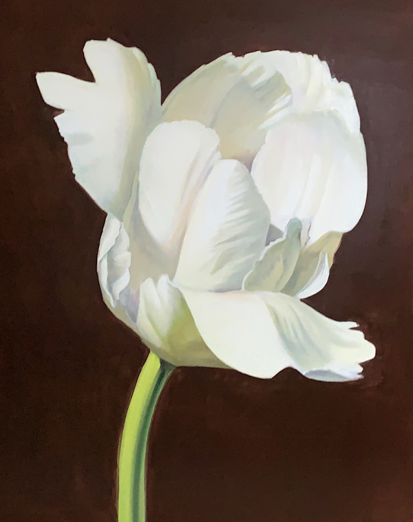white tulip by Sasha Suvorova, Image 9.