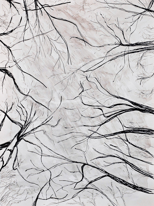 Tree Tops by Nicci Schwartz