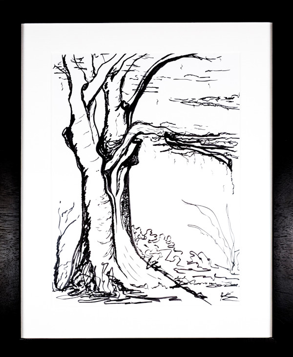 The Season Changes by Nicci Schwartz