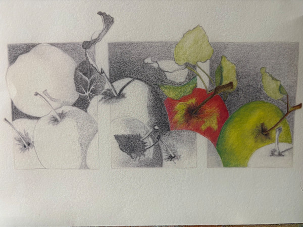 To Teach, Apples by Sarah Wold