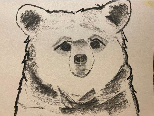 Kava Bear by Sarah Wold