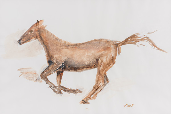 Running Horse by Robert M Shank