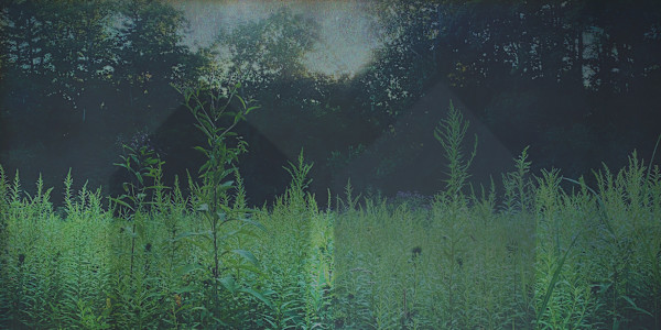 "Shift" by Jessica Wascak