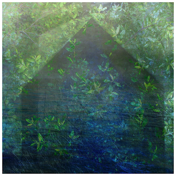 Lucid Dreams: "Growth" by Jessica Wascak