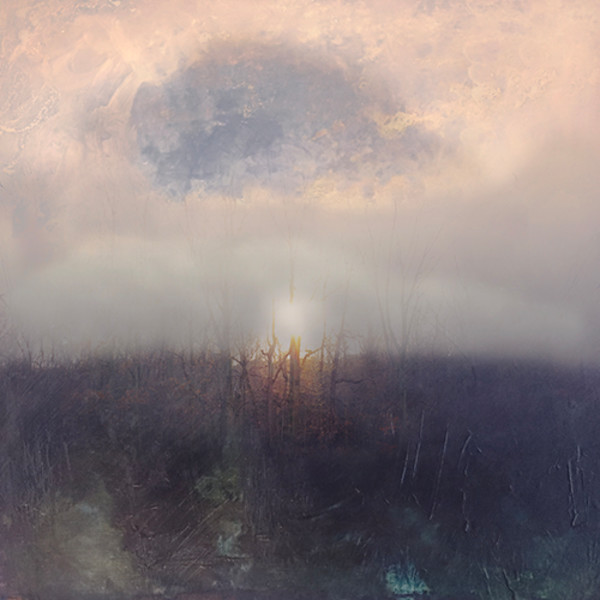 "Points of Light" by Jessica Wascak