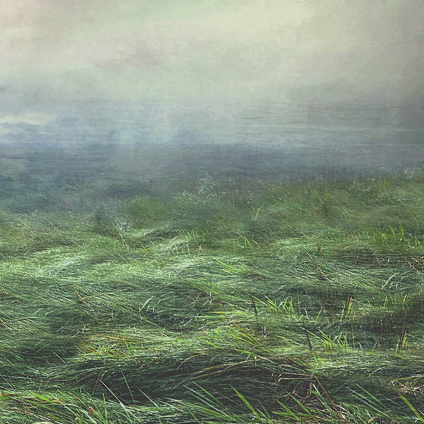 "Seagrass II" by Jessica Wascak