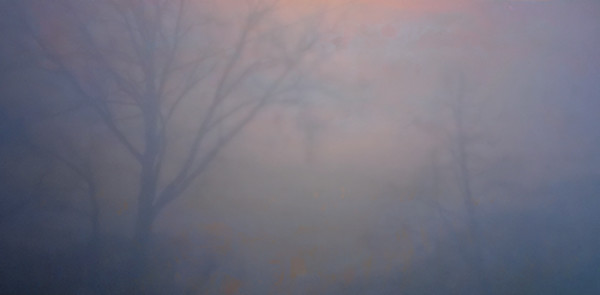 "Shroud" by Jessica Wascak