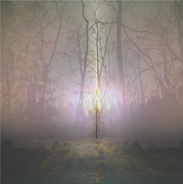 "Veil" by Jessica Wascak