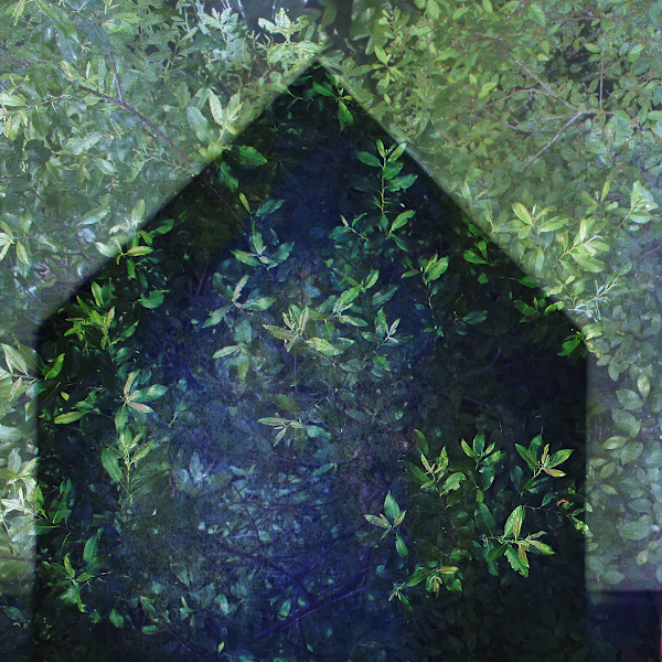 "Growth" by Jessica Wascak