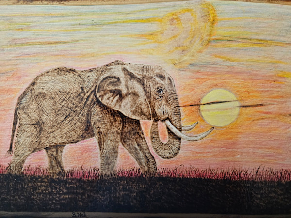 Savanah Sunrise by Butch Halberstadt