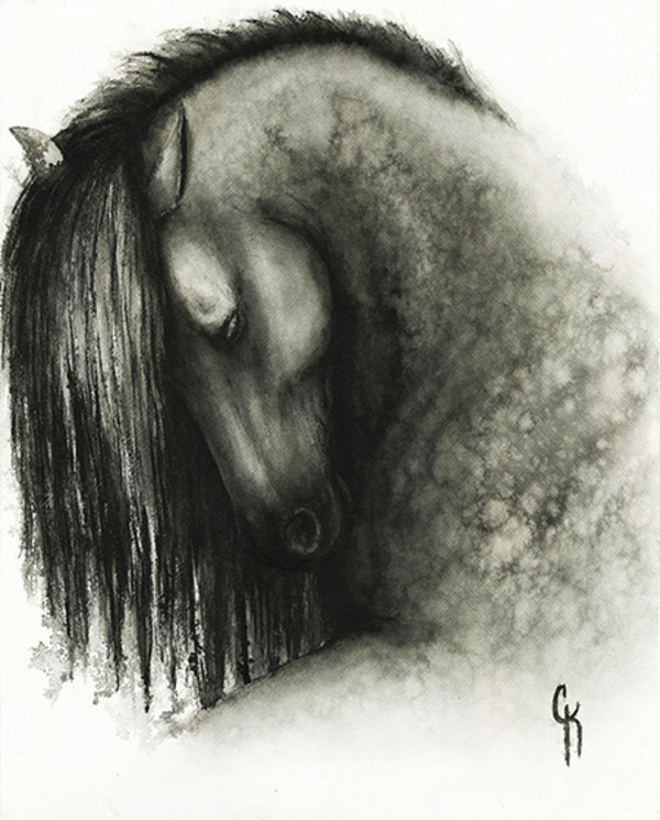 Dapple by Carrie Kohles