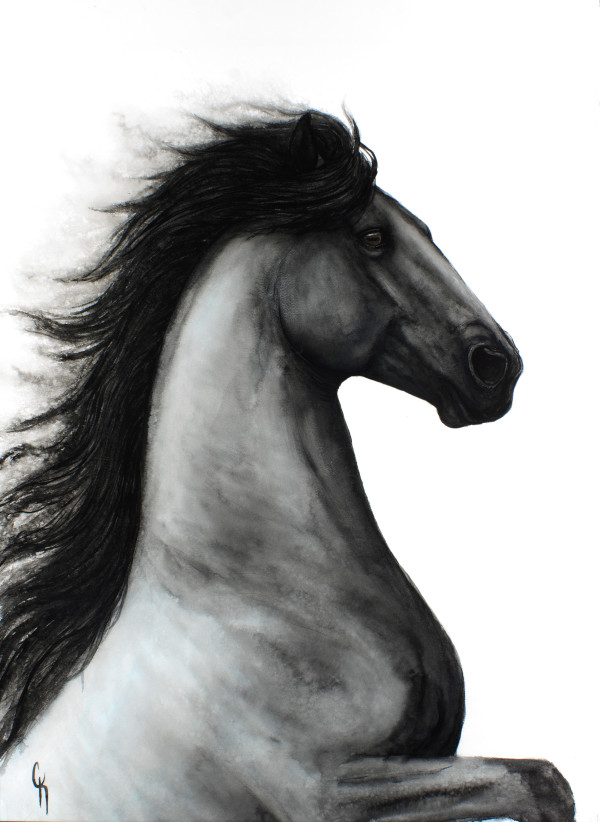 Dark Horse by Carrie Kohles