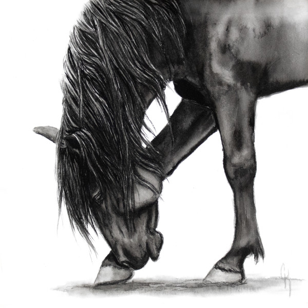 Euphony - Onaqui Mountain Mustang by Carrie Kohles