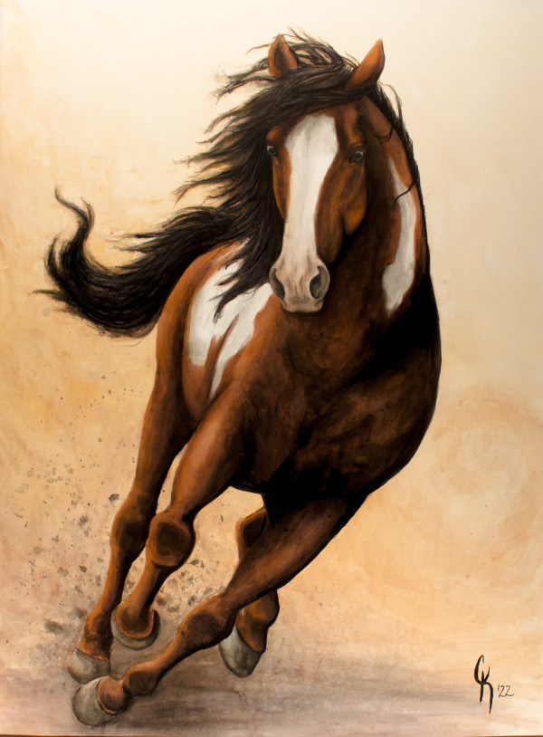 Break Away by Carrie Kohles