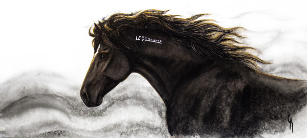 Flow by Carrie Kohles