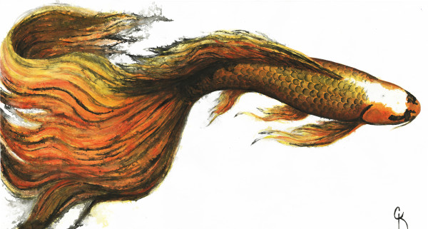 Fluid Fire by Carrie Kohles