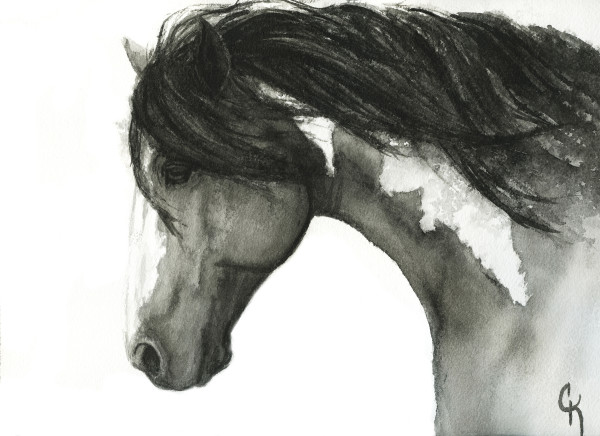 Grullo Paint by Carrie Kohles