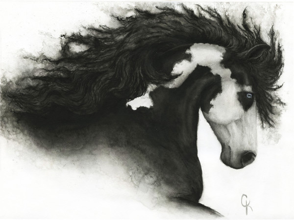 Medicine Hat by Carrie Kohles