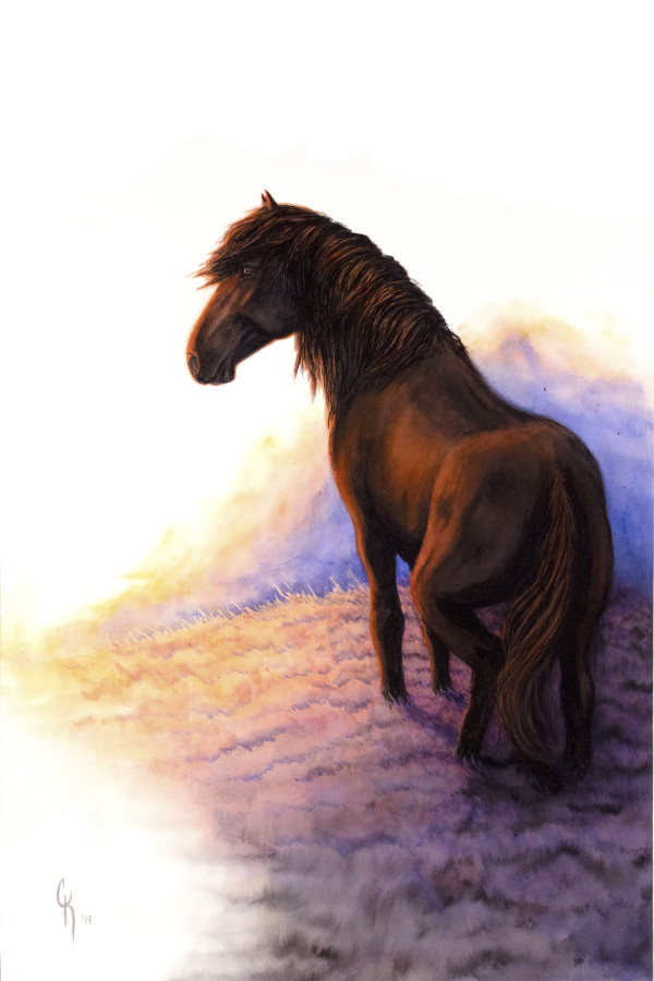 Ascent by Carrie Kohles