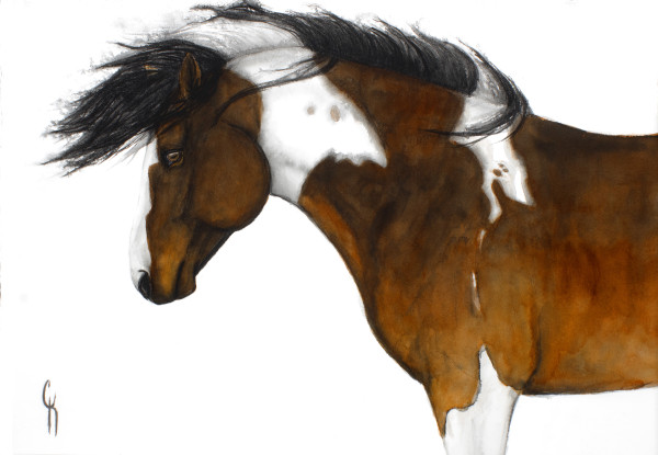 Resolute by Carrie Kohles