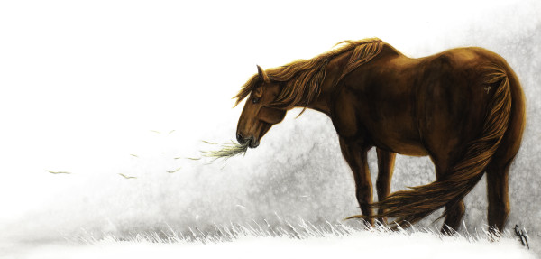 Swept Away by Carrie Kohles