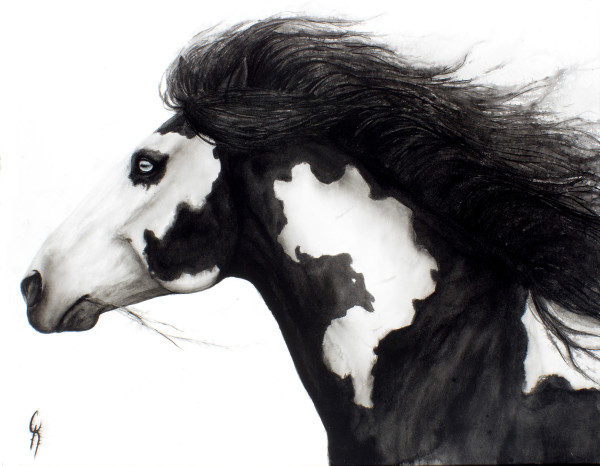 Unconstrained by Carrie Kohles