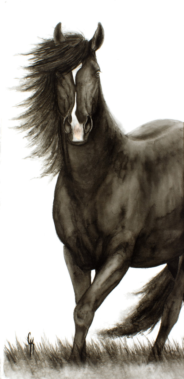 Wild by Carrie Kohles