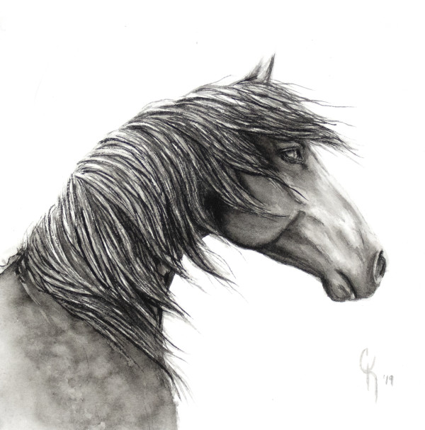 Windblown Dapple II by Carrie Kohles