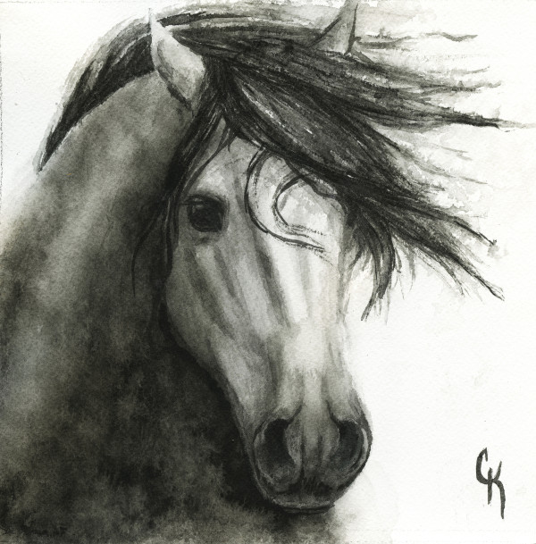 Windblown Dapple by Carrie Kohles