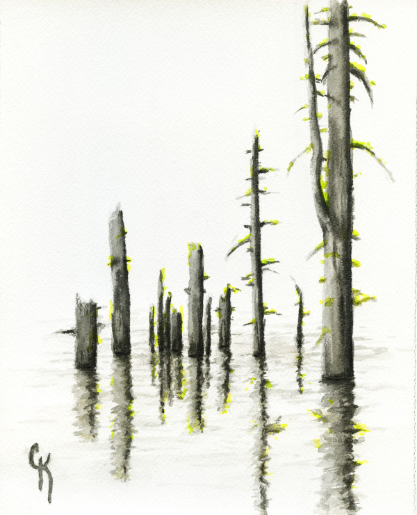 Wood Lake by Carrie Kohles