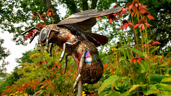 Delicate Balance by Ian Lowe