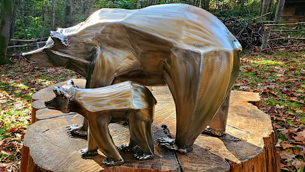 Defender by Ian Lowe