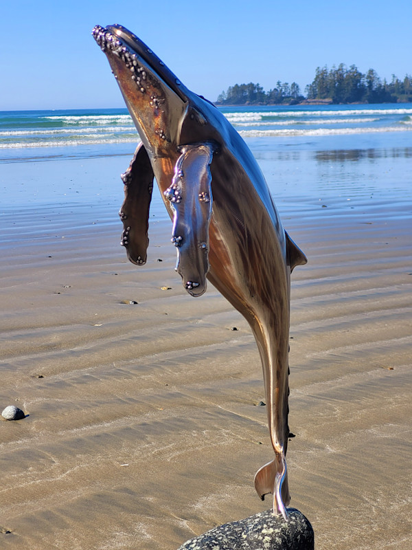 Pacific Giant by Ian Lowe