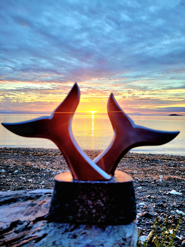 Tango by Lowe Tide Design