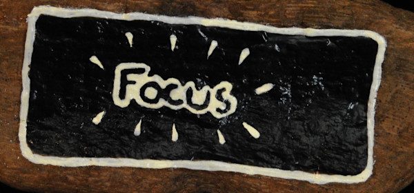 Focus by David Silva Rose