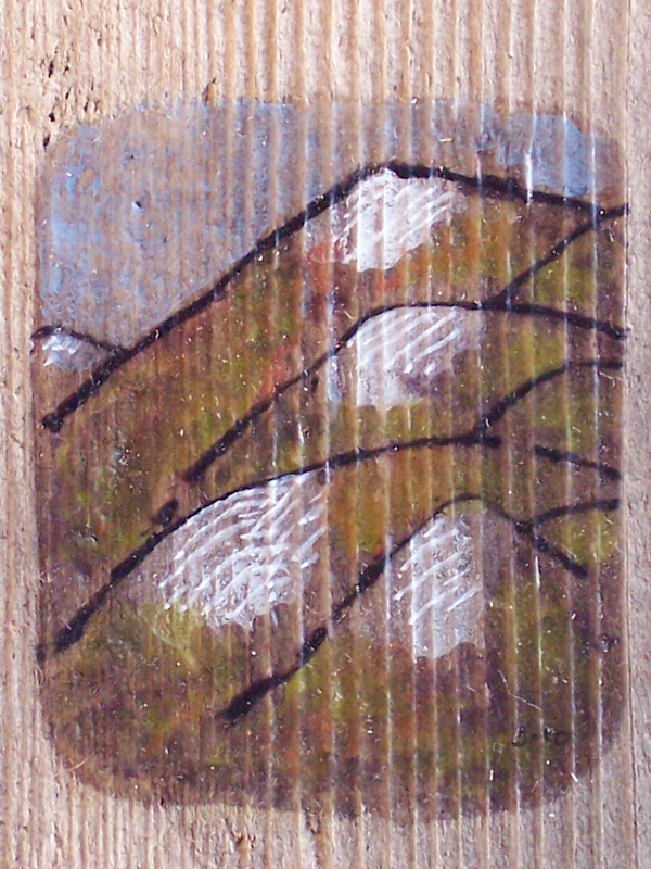 Mountains by David Silva Rose
