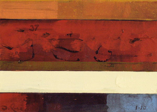 Stripe Study #37 by David Silva Rose