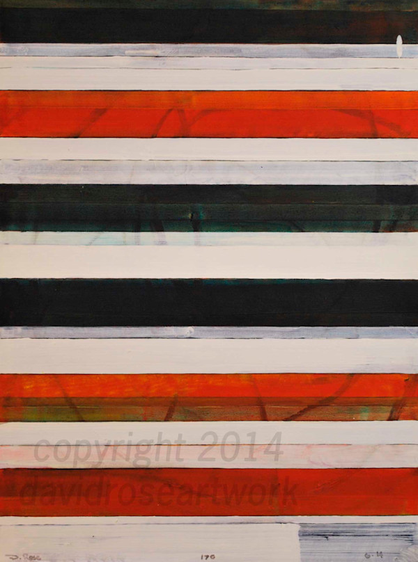 Stripes 170 by David Silva Rose