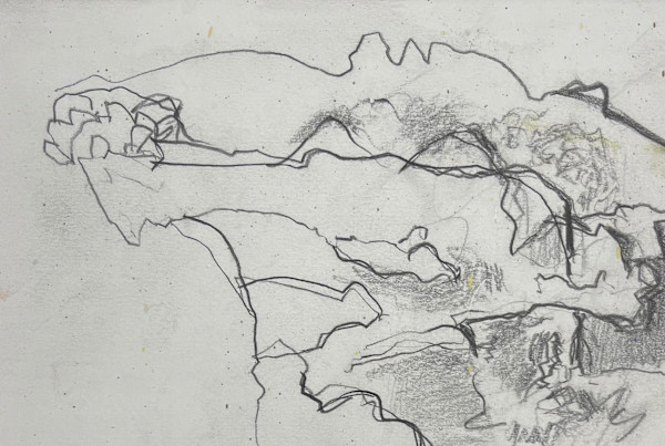 Hilltop by Les Graff (RCA), Image 1.