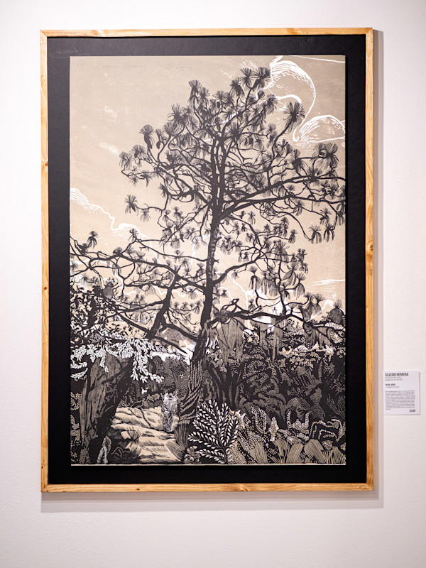 Sierra Juarez by José Silverio Herrera, Image 1.