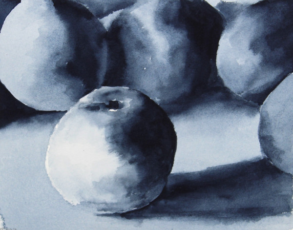 Five Apricots, Study by Robin Edmundson