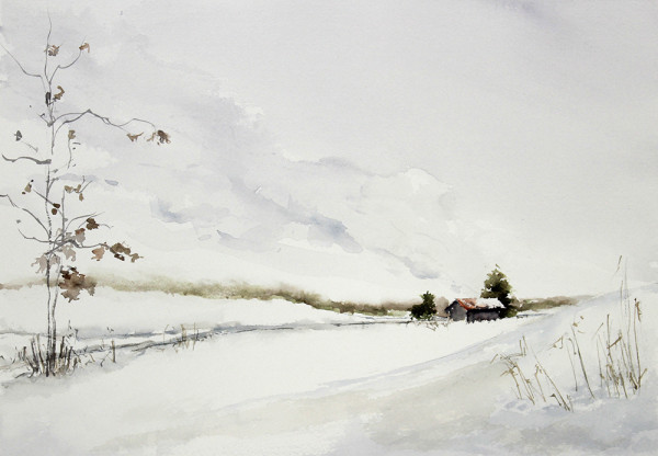 Barn & Cedars in Snow by Robin Edmundson