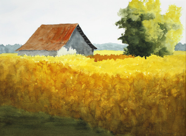Barn, Tall Grass by Robin Edmundson