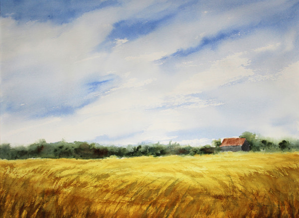 Hayfield, Barn, Sky by Robin Edmundson