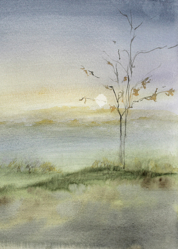 Hilltop Tree, Foggy Morning by Robin Edmundson