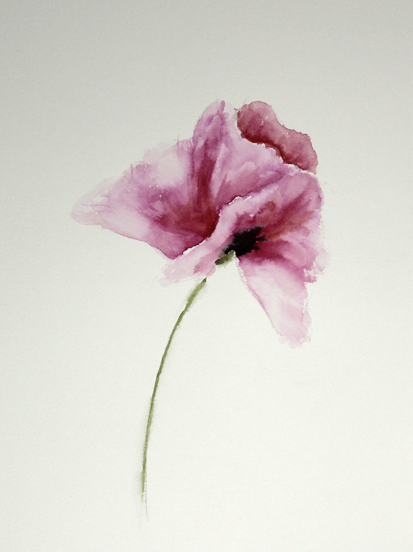 Pink Poppy by Robin Edmundson
