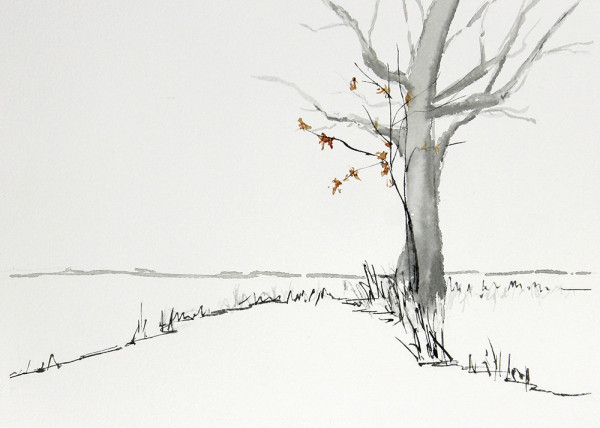 Snowfield, Tree by Robin Edmundson